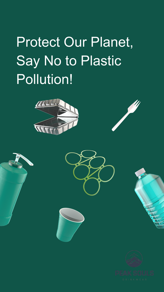botella acero inoxidable, botella reutilizable, botella agua, medio ambiente, sostenibilidad, huella de carbono, plástico, ahorro, aventura, PeakSouls